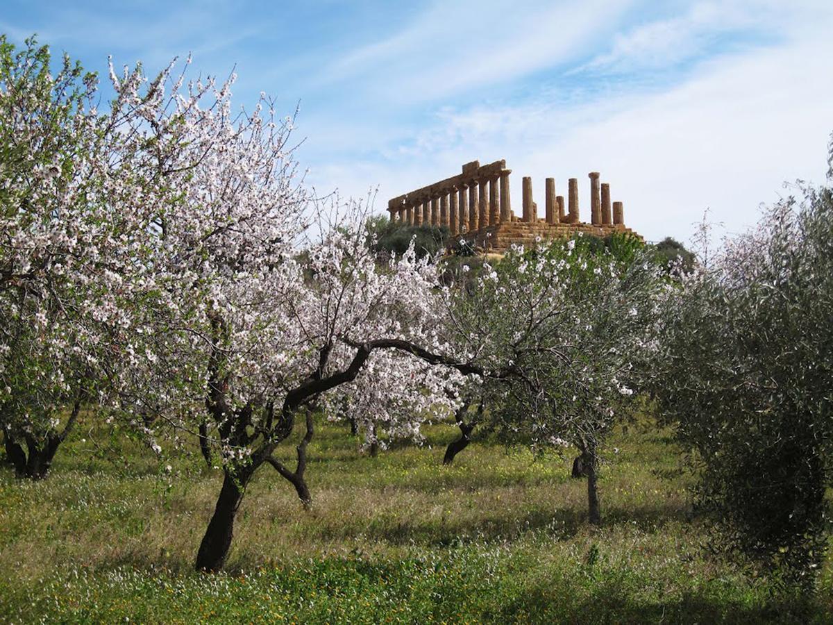 Anima Templi Lejlighed Agrigento Eksteriør billede